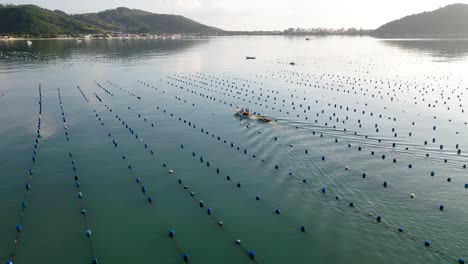 Oyster-farming,-shellfish-in-the-State-of-Santa-Catarina,-Brazil