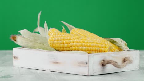 corn with leaves on a tray slowly rotates.