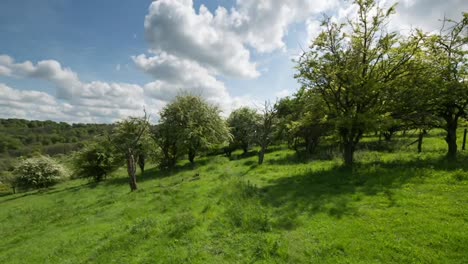 english countryside 05