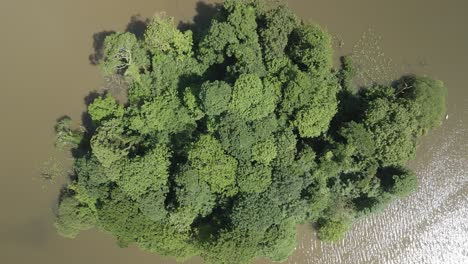 Bird's-Eye-View-Of-Island-On-Mullagh-Lough-Lake-In-Ireland---drone-shot