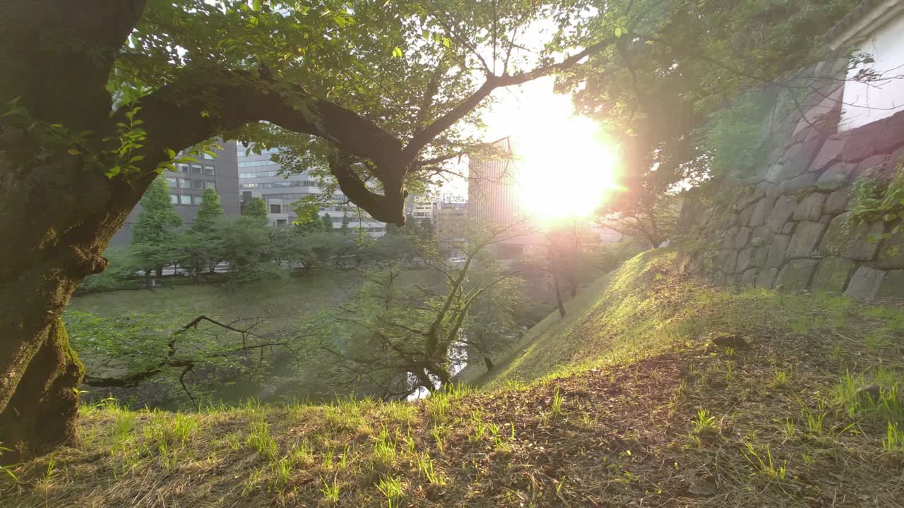 도쿄 치도리가푸치 (tokyo chidorigafuchi) 2022년