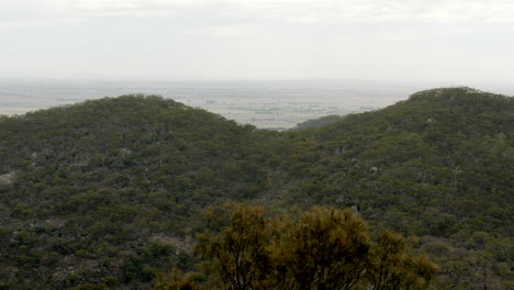 you yang national park, victoria australia. pan shot