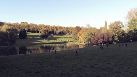 group of children walking on meadows by the lake of a beautiful autumn park during sunset