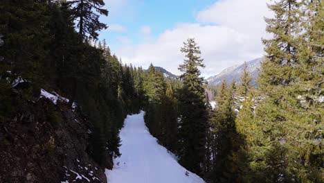 Forward-drone-shot-over-Snow-trail-through-evergreen-trees-in-Washington-State