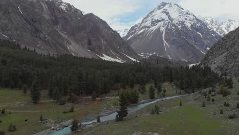 aerial view of naltar river in mountain valley