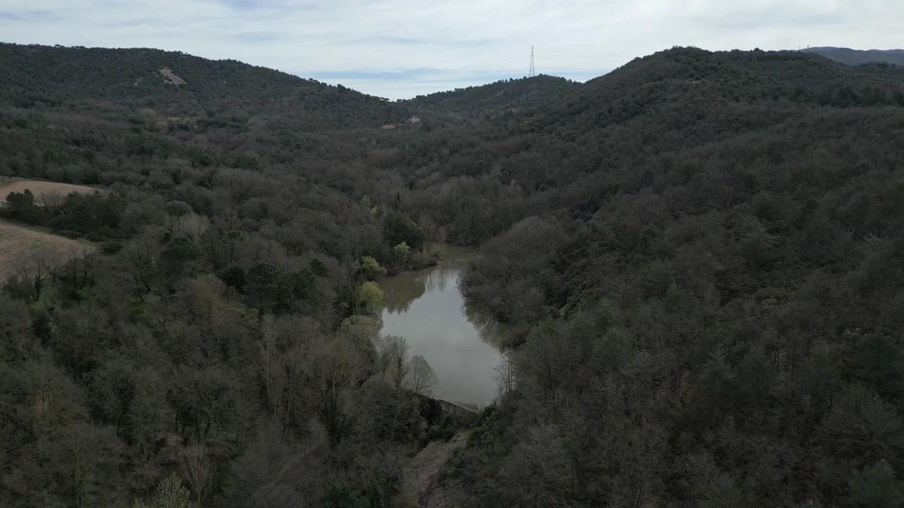 Filmagem aérea panorâmica mostrando um pântano tranquilo aninhado em uma vasta e densa floresta na paisagem rural de Taradell, Catalunha, com colinas ondulantes se estendendo em direção ao horizonte.