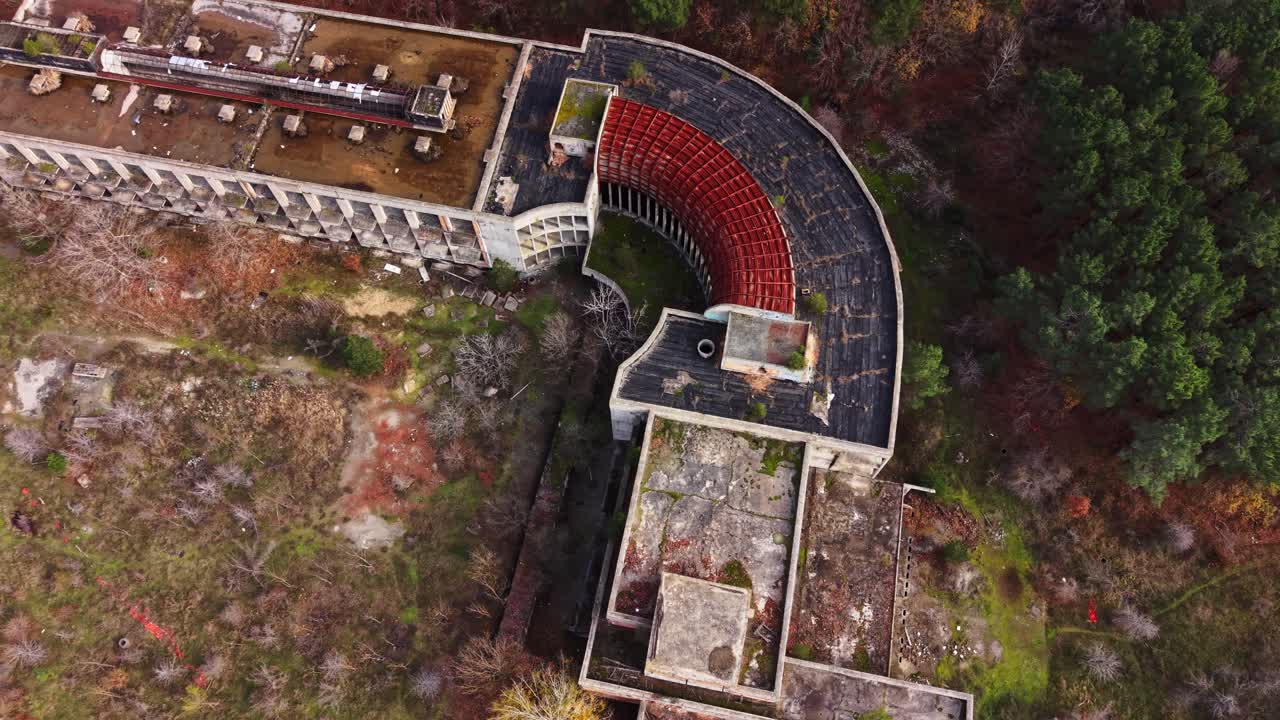 Exploring a decaying structure in an overgrown forest landscape