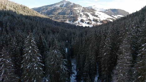 drone flying low over snow covered pine trees with beautiful mountains in the background