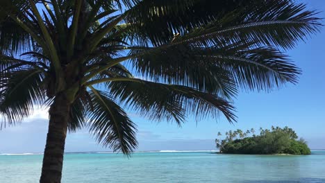 rarotonga cook islands