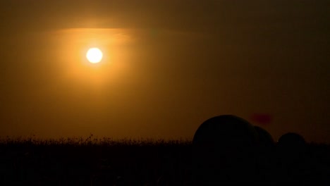 sunset over cotton bale at rural agricultral field during harvest season