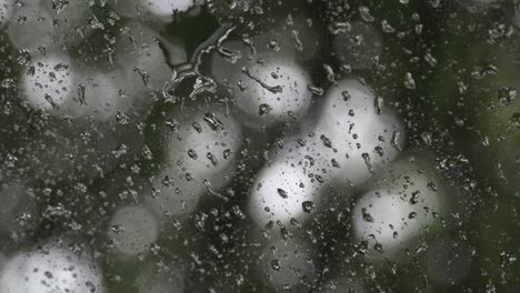 raindrops on the car window