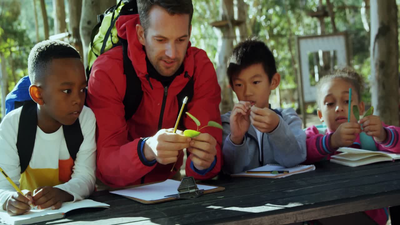 niños y maestros interactuando en una excursión de campo 4k