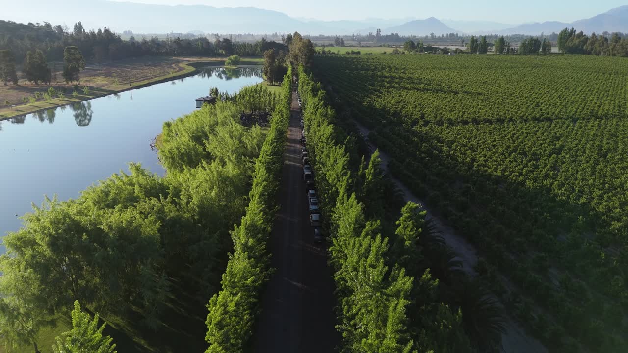 Tree path in Maipo Valley Lake, located in the commune of San Bernardo, country of Chile