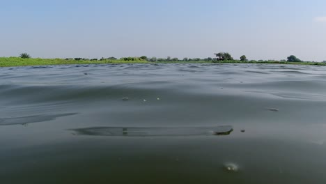 Autumnal-nature-breeze-and-resulting-water-ripples