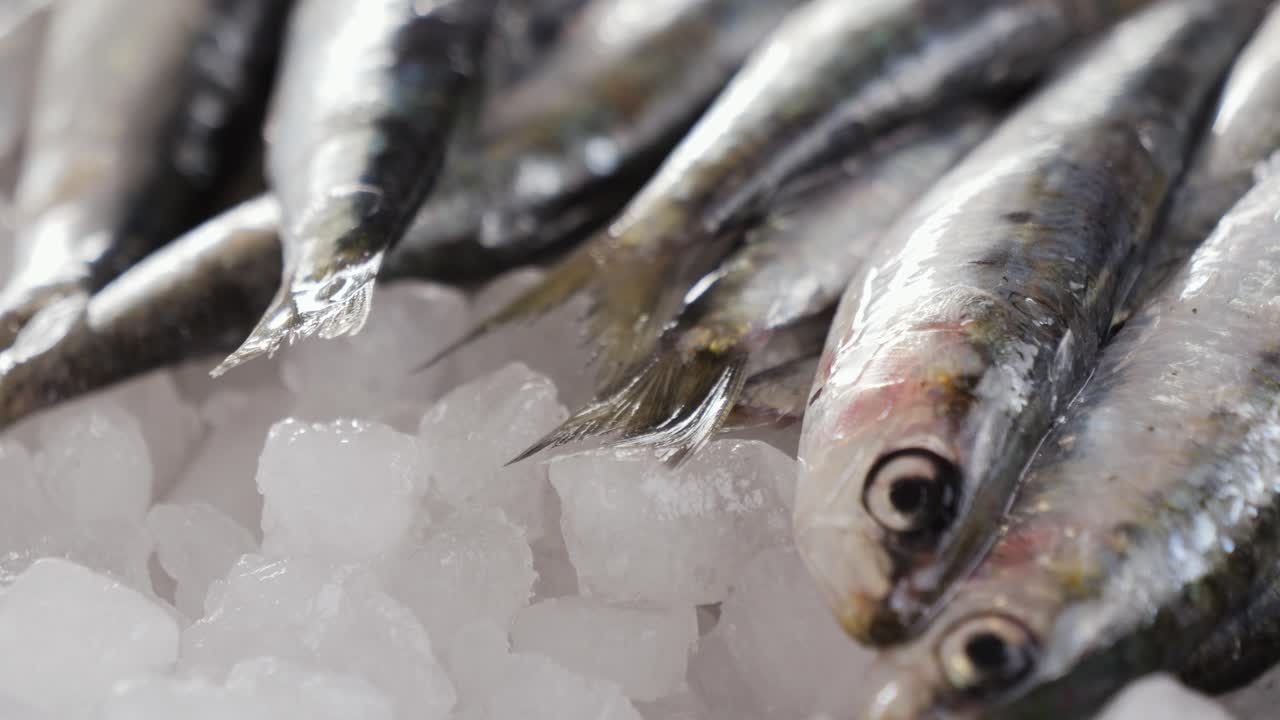 anchoas frescas en hielo