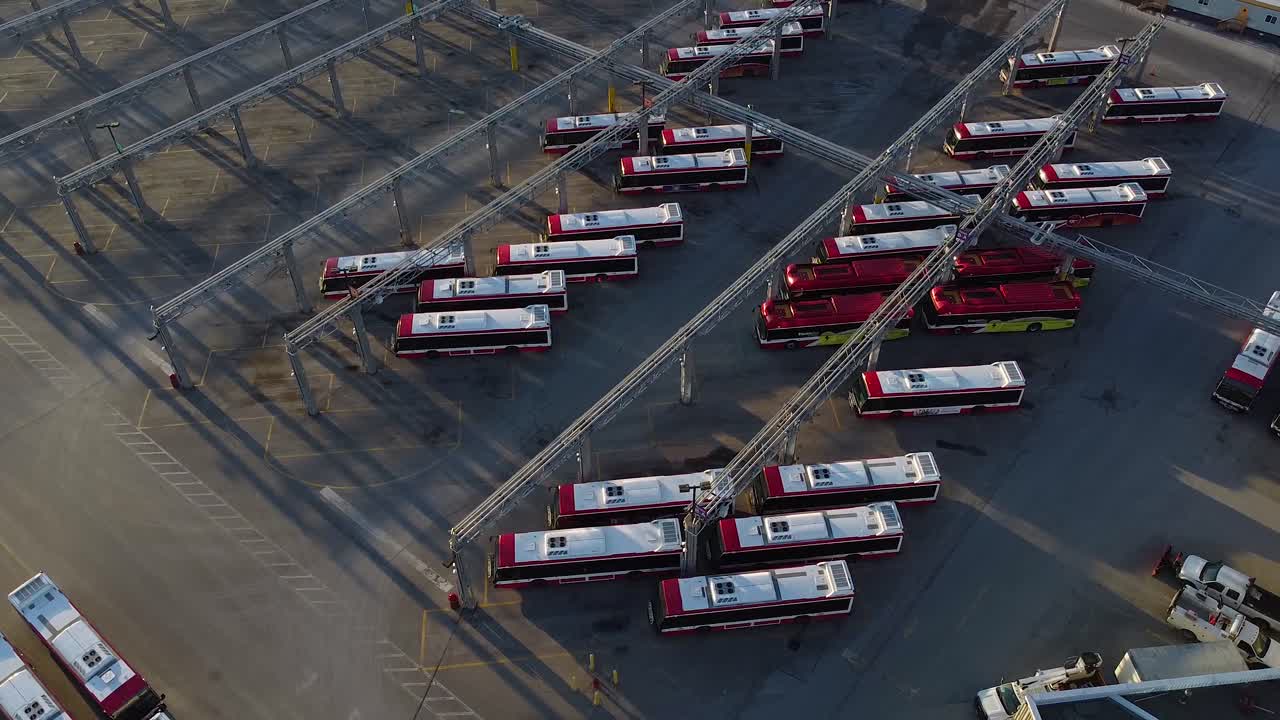 ttc autobuses de transporte público en grandes instalaciones de operaciones, mantenimiento y almacenamiento con aves voladoras