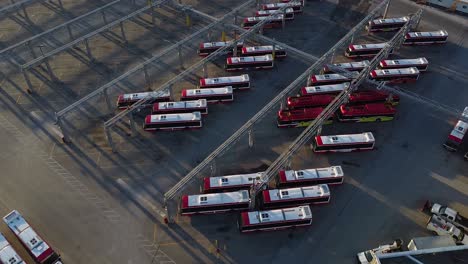 ttc autobuses de transporte público en grandes instalaciones de operaciones, mantenimiento y almacenamiento con aves voladoras