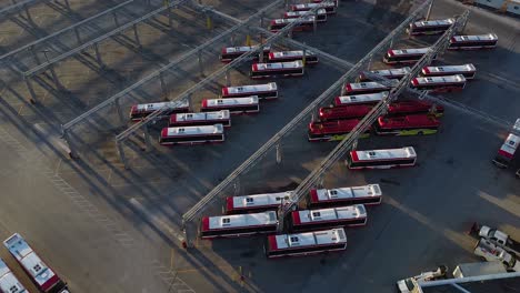 ttc public transit buses at large operations, maintenance and storage facility with birds flying