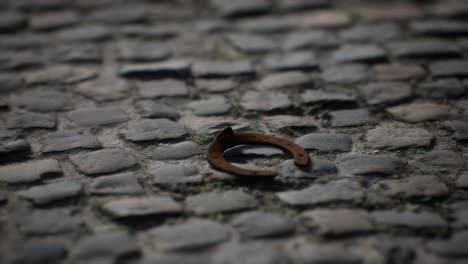 one old rusty metal horseshoe