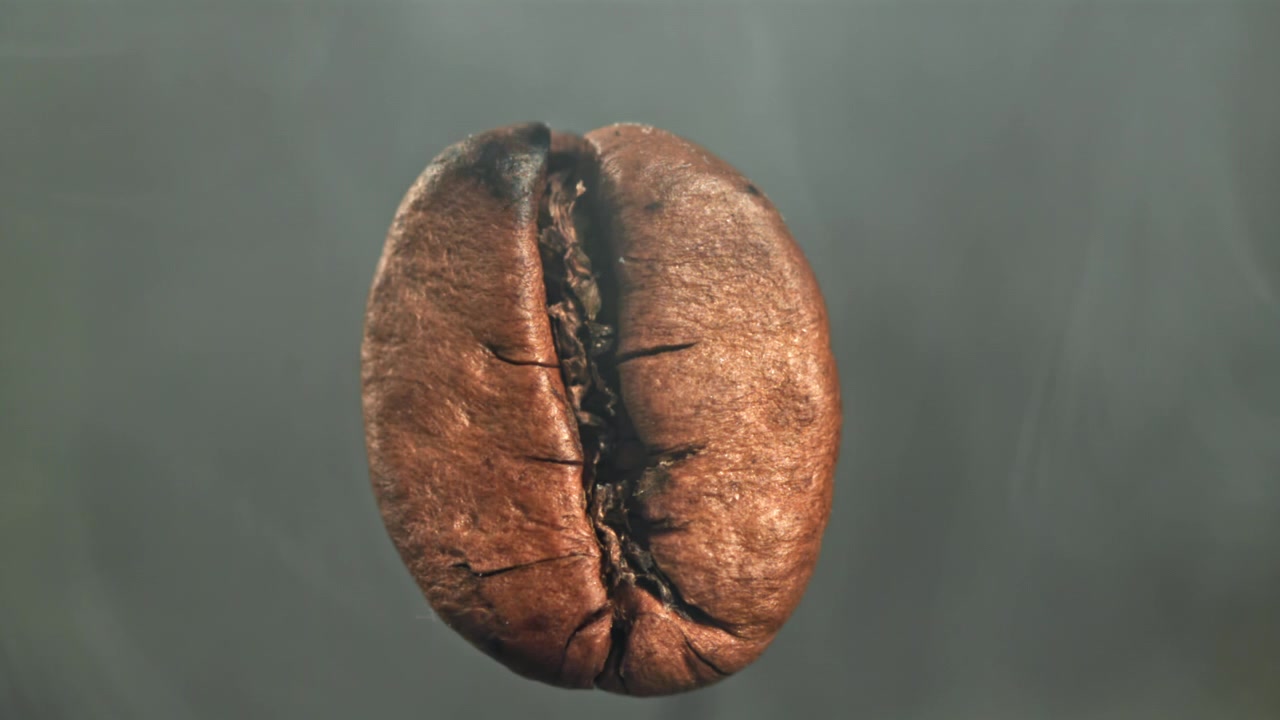 Primo piano di un chicco di caffè tostato con vapore sottile