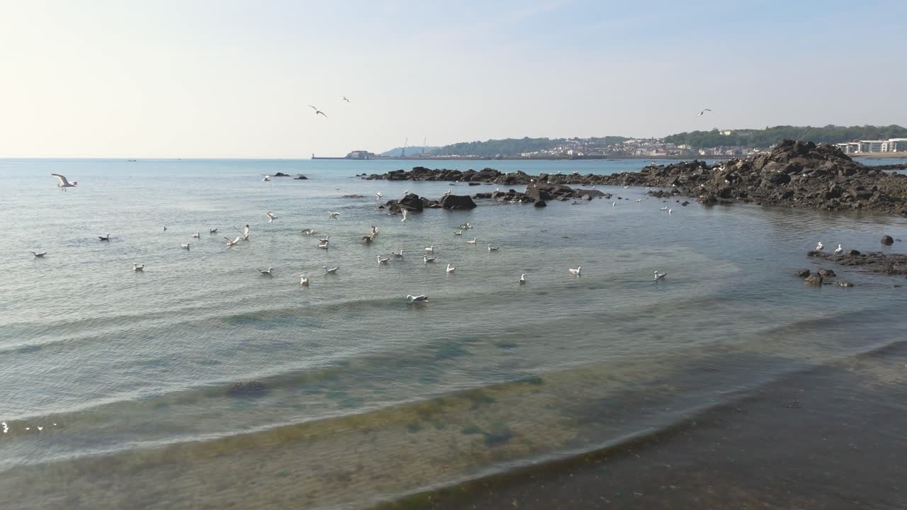 Low drone footage of shoreline with gentle waves seabirds in the shallows on bright sunny day with clear water and calm sea