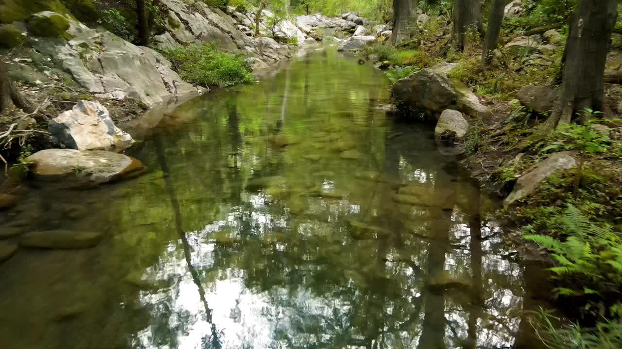 조용한 강의 공중 촬영은 주변의 나무를 반영하고, 점진적으로 주변의 아름다운 숲을 드러니다.