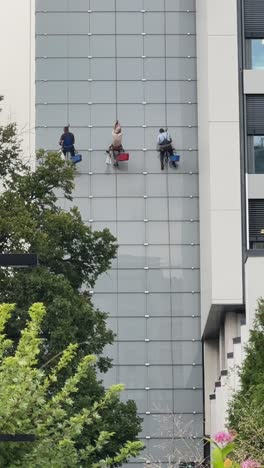 window cleaners on high-rise building