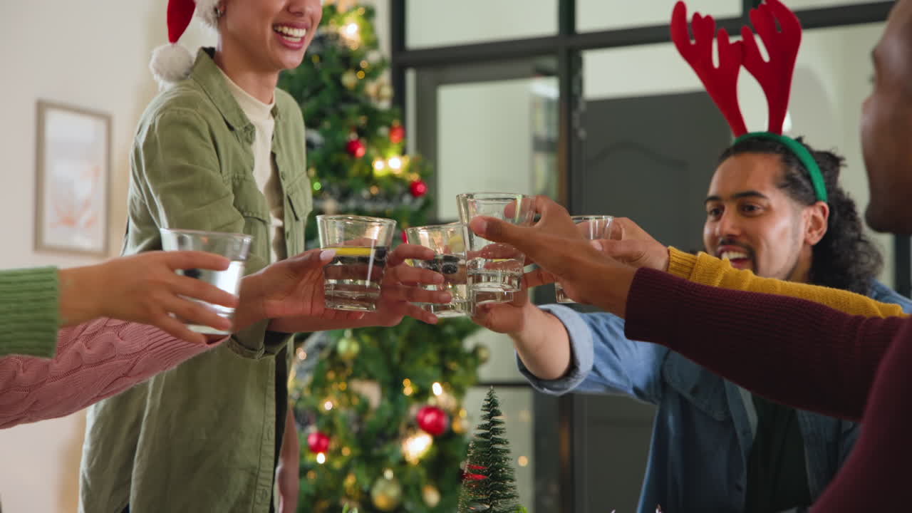 Young diverse friends toasting with drinks at home, celebrating Christmas together joyfully