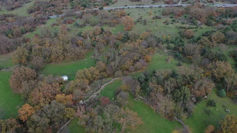 Vuelo-Lateral-Con-Drone-En-Un-Ambiente-Rural-Con-Fincas-Separadas-Con-Muros-De-Piedra-Con-árboles-En-Otoño-Con-Su-Diversidad-De-Colores-Con-Una-Carretera-Al-Fondo-Conduciendo-Un-Autobús-En-Avila-España