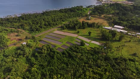 savusavu, vanua levu, fiji - a farmland with a fish pond, framed by greenery and a tranquil blue sea - aerial drone shot