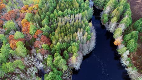 aerial drone video footage of a colorful autumn forest, pond, and pine trees in the appalachian mountains