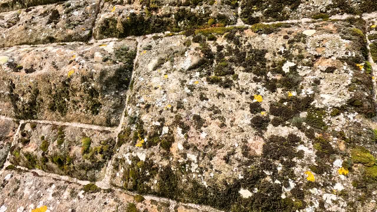 primer plano de una pared de piedra con musgo
