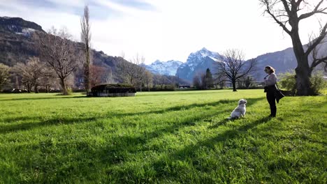 a white dog is sunbathing with its owner in the morning in a green grassy park