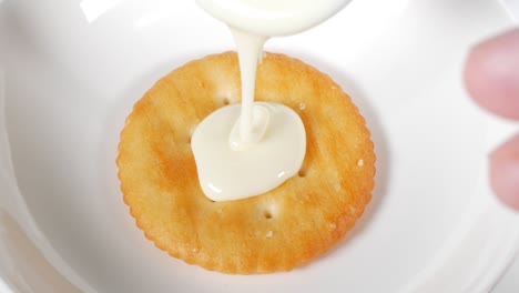 galletas redondas con chocolate blanco