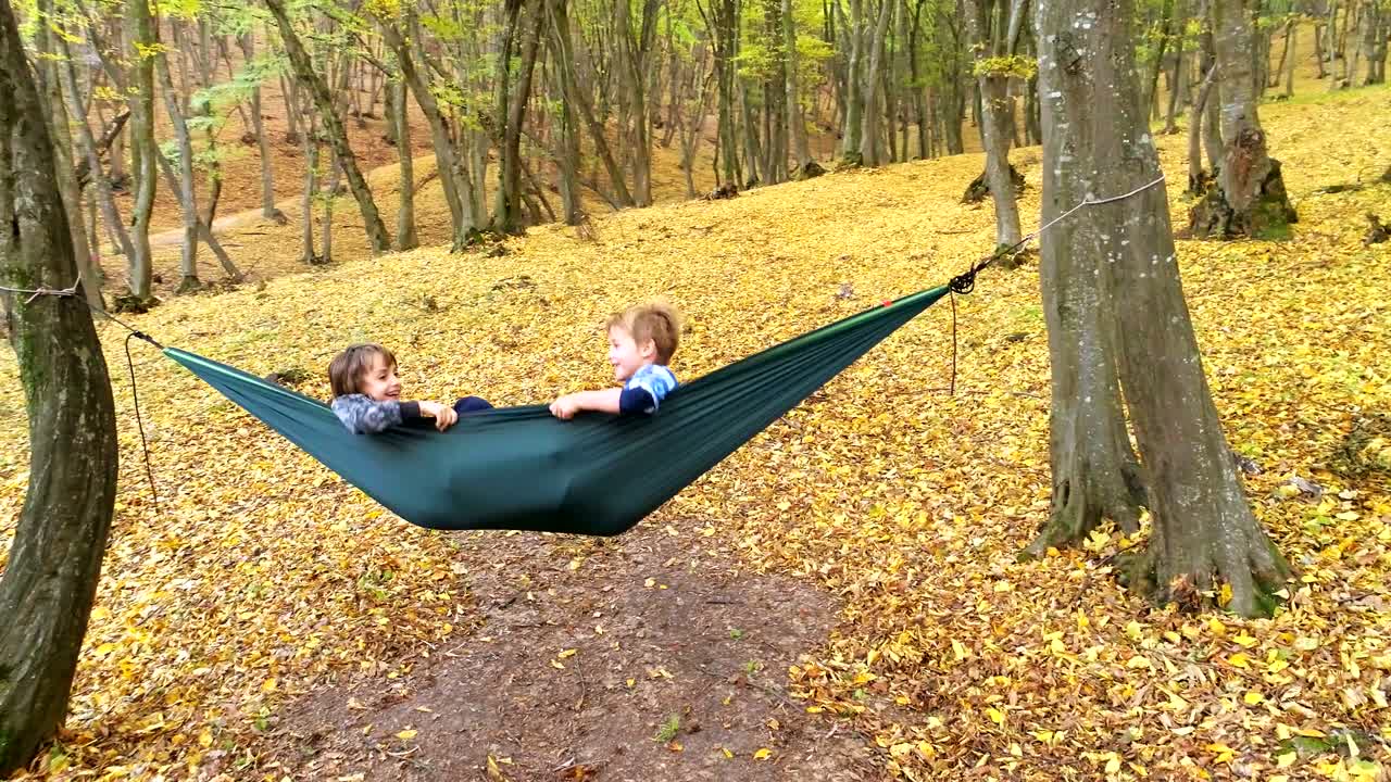 행복한 아이들이 숲에서 가을 날을 즐기고 있습니다.