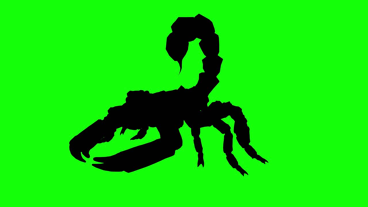 Silhouet van een fantasiewezen monsterschorpioen lopend op een groen scherm, perspectiefaanzicht