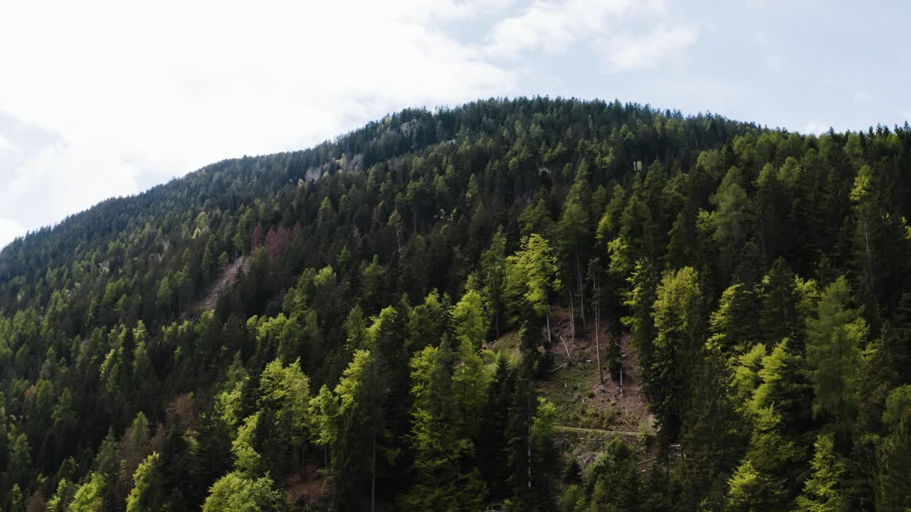 Drone shot pushing in toward's Italy's dense forested mountains