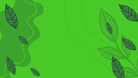 animación de hojas sobre fondo verde