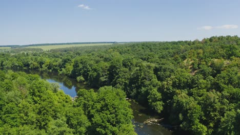 amazing nature in summer. flight over the green forest. beautiful blue river inside the woodland. natural scenery. aerial view.