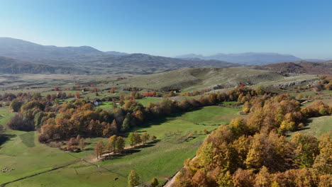 lush autumn forest sprawls across rolling hills, displaying a mesmerizing blend of colors as captured from a drone high above
