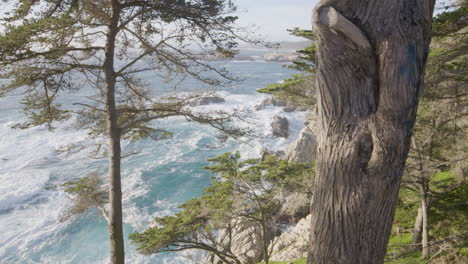 Disparo-Estacionario-A-Través-De-Los-árboles-En-La-Ladera-De-Una-Colina-Con-Relajantes-Olas-Rompiendo-En-El-Fondo-Ubicado-En-Big-Sur-California