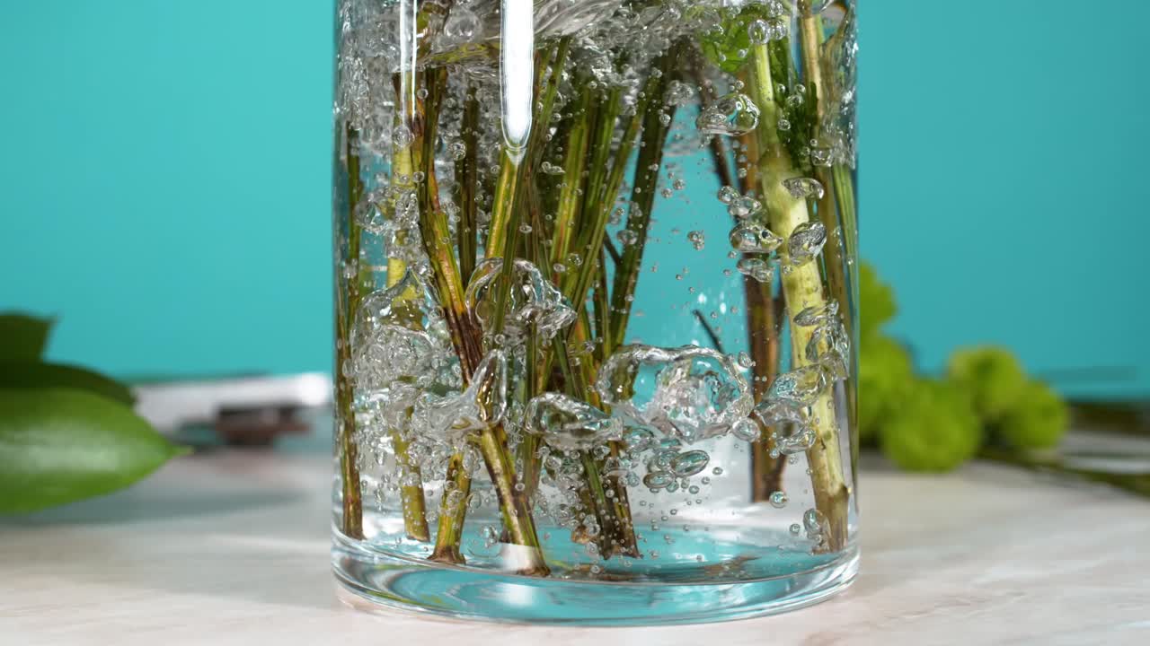 꽃줄기와 꽃병에 물을 넣고 1000fps 슬로모션, 물 스프레이, 꽃 꽃받침.