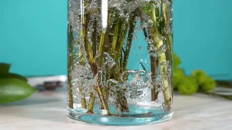 flower-stalks-into-vase-with-water,-1000fps-slowmotion,-water-splash,-flower-bouquet