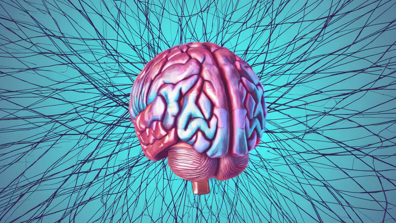 Ilustración del cerebro