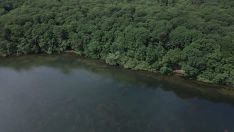 Trémelin-lake-and-surrounding-forest,-Brittany-in-France