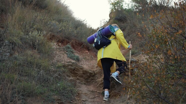 Hiker climbing, trekking on top of hill with wooden stick - concept of travel lifestyle, outdoor