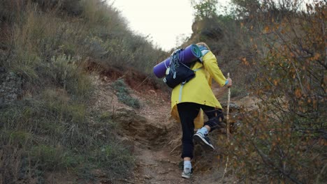 escalada de excursionistas, trekking en la cima de la colina con un palo de madera - concepto de estilo de vida de viaje, al aire libre
