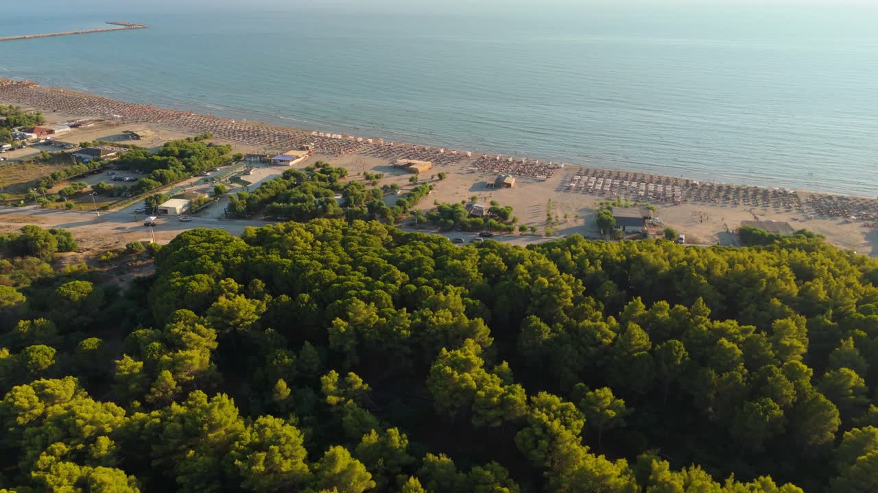 un bosque exuberante se encuentra con una costa serena en un día soleado, vista aérea