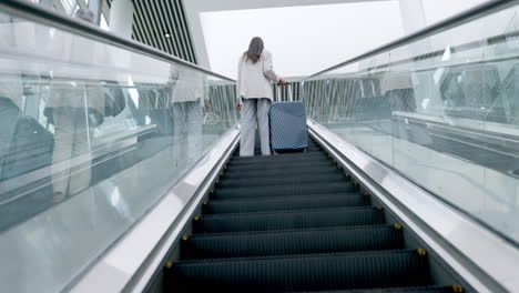 airport, luggage and back view of business people