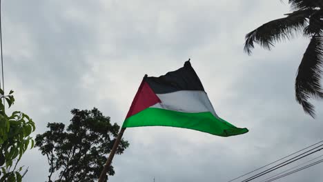 slow motion video of a flag of palestine waving in the air in indonesia